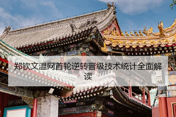 zheng-qin-wen-wen-wang-shou-lun-ni-zhuan-jin-ji-ji-shu-tong-ji-quan-mian-jie-du-3-473.jpg