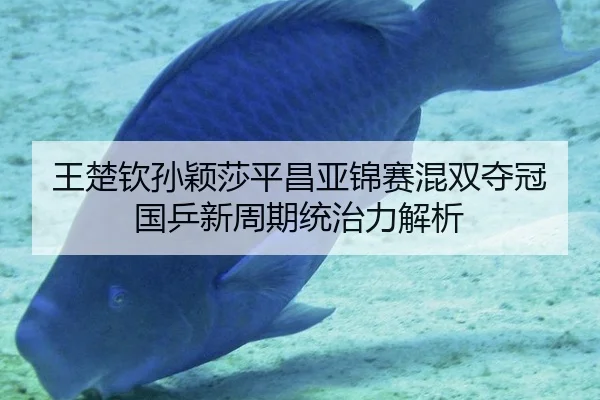 wang-chu-qin-sun-ying-sha-ping-chang-ya-jin-sai-hun-shuang-duo-guan-guo-ping-xin-zhou-qi-tong-zhi-li-jie-xi-2-992.jpg