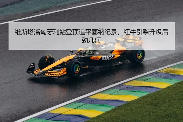 wei-si-ta-pan-xiong-ya-li-zhan-deng-ding-zhui-ping-sai-na-ji-lu-hong-niu-yin-qing-sheng-ji-hou-jin-ji-he-2-733.jpg